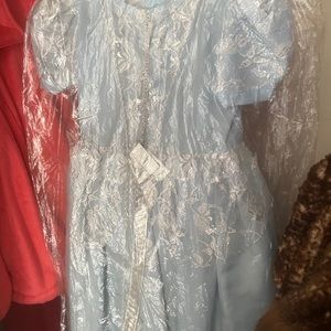 Disney Cinderella Costume